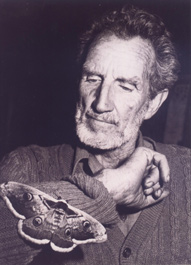 Alfons Hochhauser
Foto aus dem Nachlass von Werner Helwig,
der dieses Foto besonders liebte.